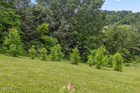 Exterior - 71 Thistle Cove Greeneville Tn 37745, Greeneville, TN 37745 photo 21 of 21