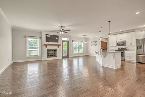 Living - 1030 Savin Falls Gray Tn 37615, Gray, TN 37615 photo 1 of 2