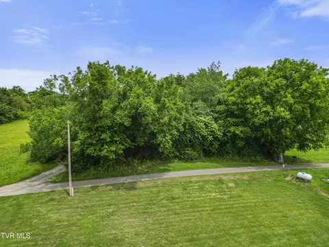 000 Keller Drive White Pine Tn 37890, White Pine, TN 37890 photo 2