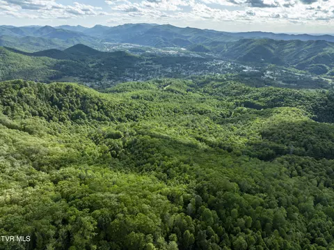 tbd Blaine White Road Erwin Tn 37650, Erwin, TN 37650