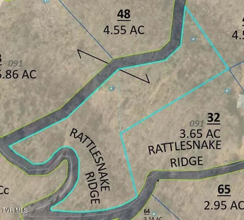 tbd Rattlesnake Ridge Lot 19 31 Butler Tn 37640, Butler, TN 37640
