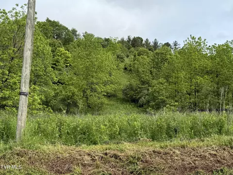 tbd Johnson Hollow Road Mountain City Tn 37683, Mountain City, TN 37683