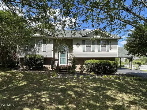 115 Butterfly Court Limestone Tn 37681, Limestone, TN 37681