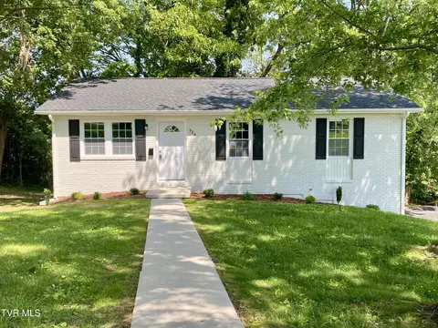 724 Georgia Street Johnson City Tn 37601, Johnson City, TN 37601