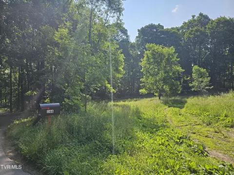 166 Dyer Road Roan Mountain Tn 37687, Roan Mountain, TN 37687