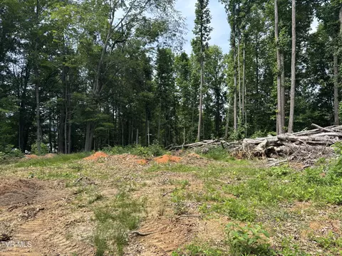 tbd Buffalo Road Johnson City Tn 37604, Johnson City, TN 37604