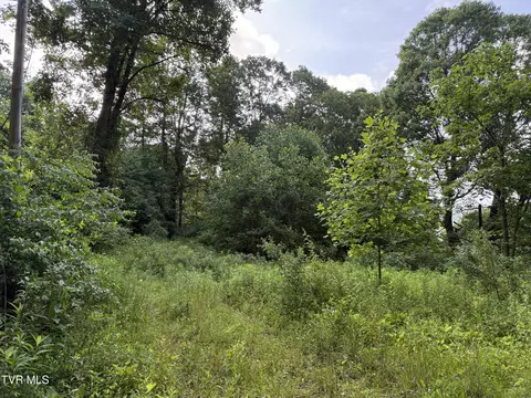 353 Clarence Potter Road Mountain City Tn 37683, Mountain City, TN 37683