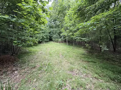 1808 Island Road Blountville Tn 37617, Blountville, TN 37617