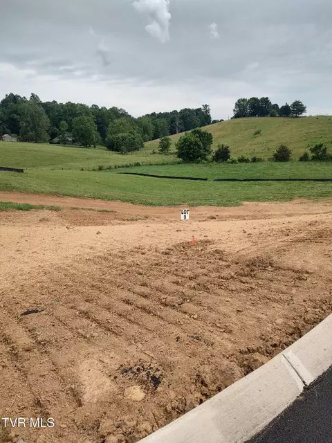 lot9 Larkins Farm Drive Jonesborough Tn 37659, Jonesborough, TN 37659