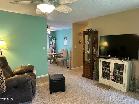 Living - 550 Escape Mountain Road Hampton Tn 37658, Hampton, TN 37658 photo 2 of 3