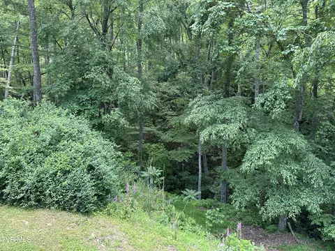 Exterior - 550 Escape Mountain Road Hampton Tn 37658, Hampton, TN 37658 photo 14 of 27