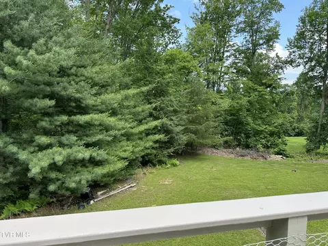Exterior - 550 Escape Mountain Road Hampton Tn 37658, Hampton, TN 37658 photo 13 of 27