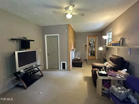 Living - 550 Escape Mountain Road Hampton Tn 37658, Hampton, TN 37658 photo 3 of 3