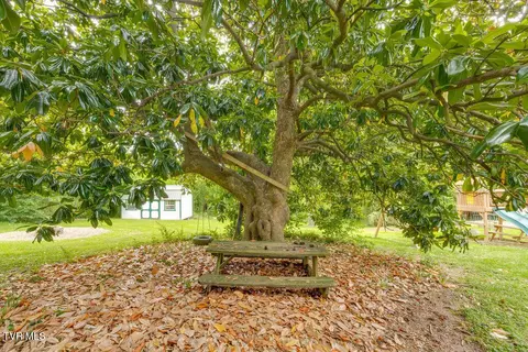 506 E 10th Avenue Johnson City Tn 37601, Johnson City, TN 37601 photo 50