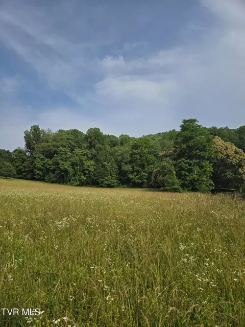 tbd Mohawk North Drive Erwin Tn 37650, Erwin, TN 37650