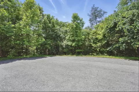 2064 Scenic Pointe Place Church Hill Tn 37642, Church Hill, TN 37642