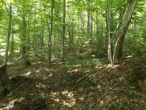 tbd Rome Hollow Road Elizabethton Tn 37643, Elizabethton, TN 37643
