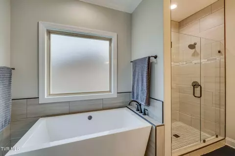 Bath - 1132 Panoramic Vista Gray Tn 37615, Gray, TN 37615 photo 3 of 5
