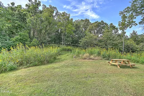 524 Boring Chapel Road Gray Tn 37615, Gray, TN 37615 photo 38