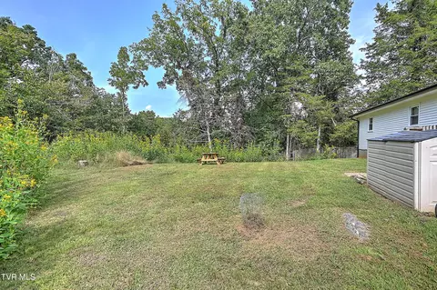 524 Boring Chapel Road Gray Tn 37615, Gray, TN 37615 photo 39