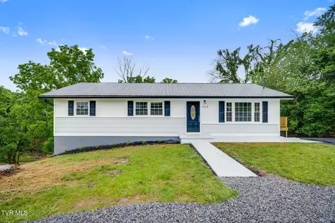 313 Morelock Street Kingsport Tn 37660, Kingsport, TN 37660