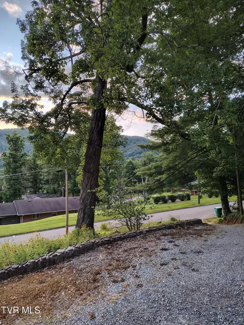 Exterior - 720 Holly Ave Erwin Tn 37650, Erwin, TN 37650 photo 11 of 11