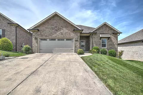 124 Ripple Falls Private Drive Gray Tn 37615, Gray, TN 37615