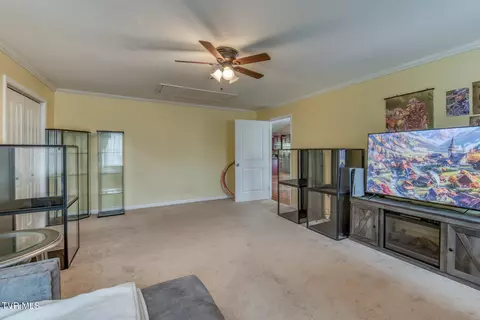 250 Bradford Lane Bristol Tn 37620, Bristol, TN 37620 photo 29