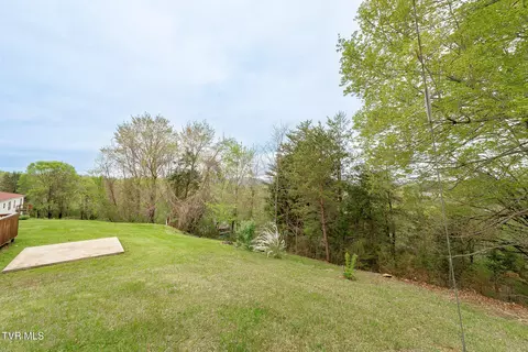 Exterior - 110 Richard Lane Fall Branch Tn 37656, Fall Branch, TN 37656 photo 7 of 13