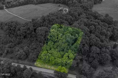 lot7 Clear Springs Road Limestone Tn 37681, Limestone, TN 37681