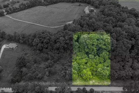 lot8 Clear Springs Road Limestone Tn 37681, Limestone, TN 37681