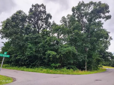 lot16 Easley Drive Kingsport Tn 37664, Kingsport, TN 37664