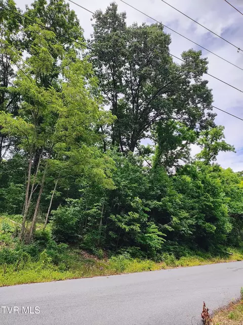 lot5 Pond Springs W Road Kingsport Tn 37664, Kingsport, TN 37664