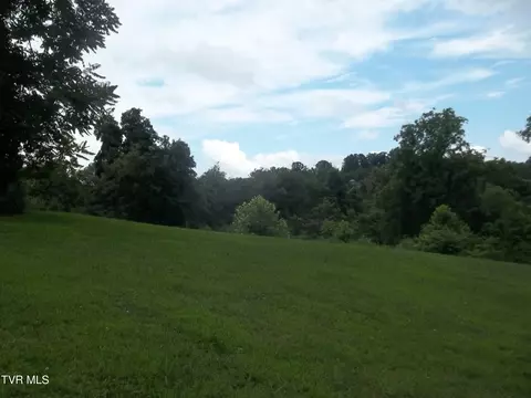 1167 Cherry Blossom Lane Talbott Tn 37877, Talbott, TN 37877 photo 7