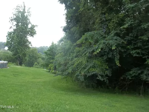 1167 Cherry Blossom Lane Talbott Tn 37877, Talbott, TN 37877 photo 4