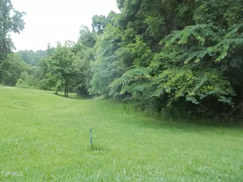 1167 Cherry Blossom Lane Talbott Tn 37877, Talbott, TN 37877 photo 5