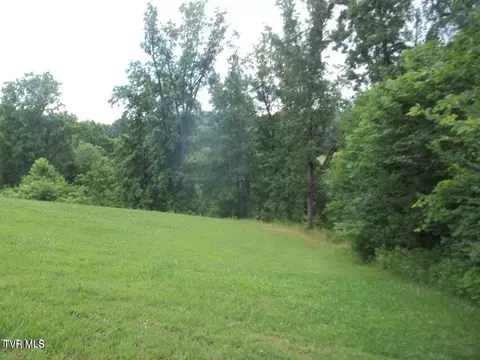 1167 Cherry Blossom Lane Talbott Tn 37877, Talbott, TN 37877 photo 3