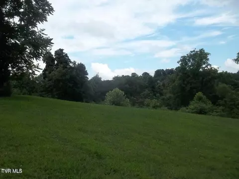 1167 Cherry Blossom Lane Talbott Tn 37877, Talbott, TN 37877