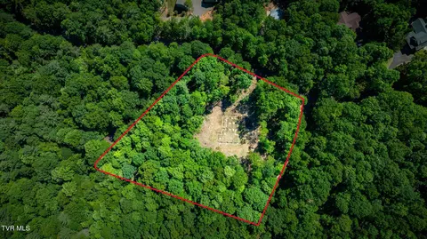 110 Forest Drive Butler Tn 37640, Butler, TN 37640