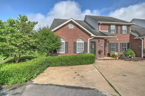 110 Eagle View Private Drive 110 Blountville Tn 37617, Blountville, TN 37617
