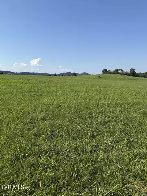 lot5 Mahoney Property Hwy 81 N Jonesborough Tn 37659, Jonesborough, TN 37659