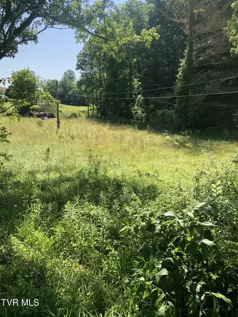 467 Oak Glen Circle Fall Branch Tn 37656, Fall Branch, TN 37656