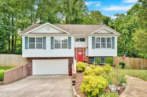 46 Taylor Ridge Court Johnson City Tn 37601, Johnson City, TN 37601