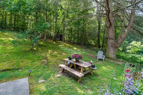 Exterior - 142 Parker Street Erwin Tn 37650, Erwin, TN 37650 photo 6 of 13