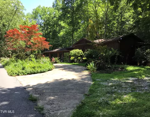 275 W Pines Road Afton Tn 37616, Afton, TN 37616