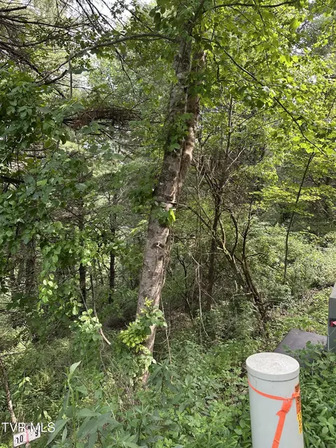lot9 Laurelwood Lane Mountain City Tn 37683, Mountain City, TN 37683
