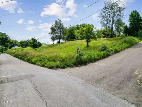 0 Leonard Street Greeneville Tn 37745, Greeneville, TN 37745