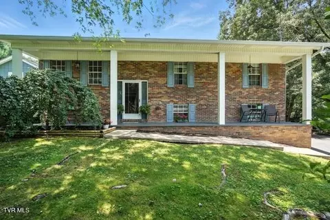 76 Tangleberry Lane Afton Tn 37616, Afton, TN 37616