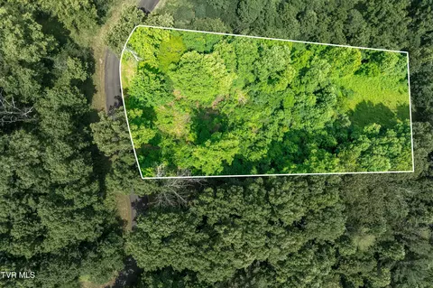lot11 Lake Ridge Road Butler Tn 37640, Butler, TN 37640