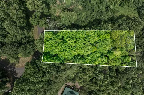 lot12 Lake Ridge Road Butler Tn 37640, Butler, TN 37640